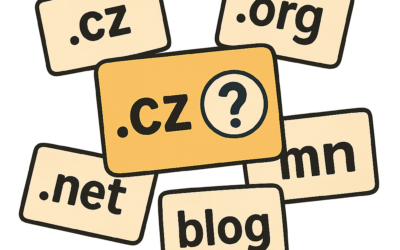 Jak vybrat doménu a kde ji hledat